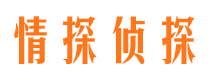 保定捉小三公司